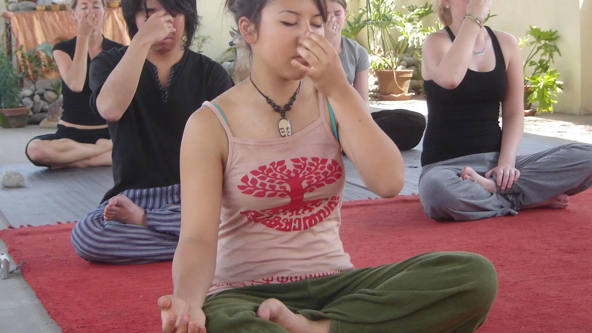 Hotel Himalaya Yoga Kathmandu